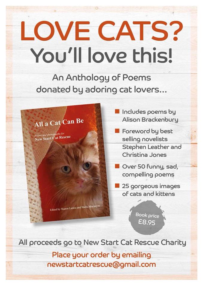 38875538_10156819548639363_3261890376977350656_n